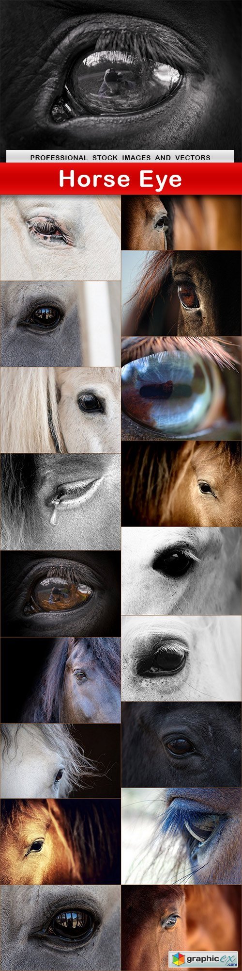 Horse Eye - 19 UHQ JPEG