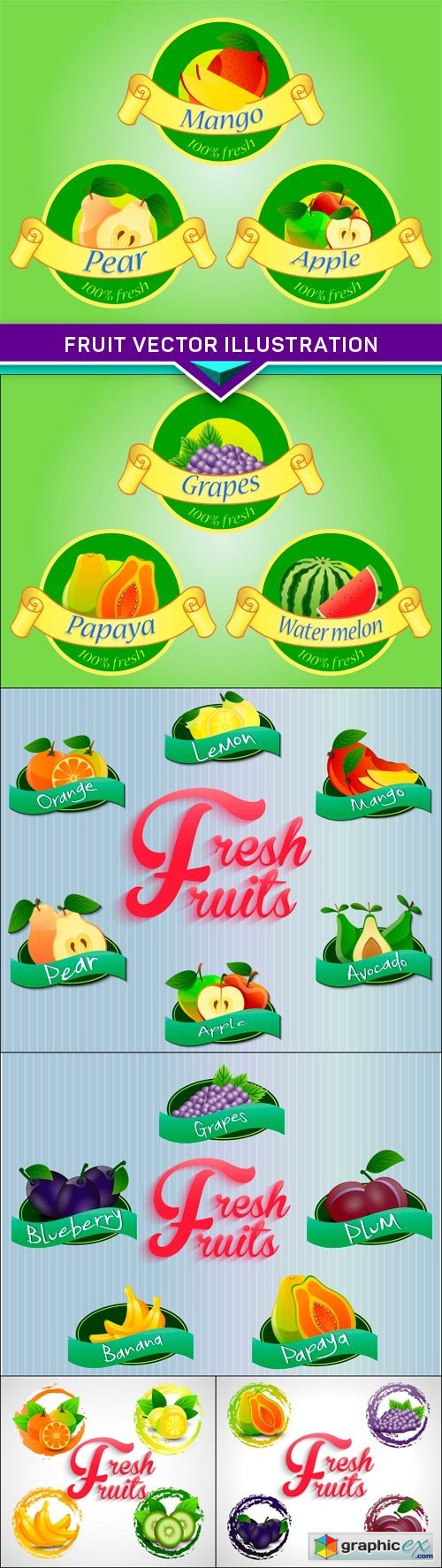 Fruit vector illustration 6x EPS