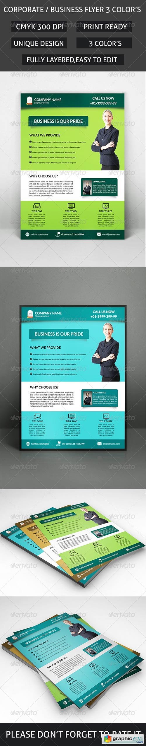 Corporate or Business Flyer