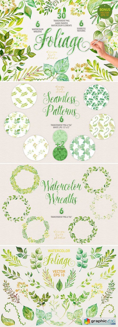 Watercolor foliage collection
