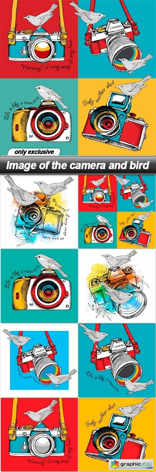 Image of the camera and bird - 8 EPS