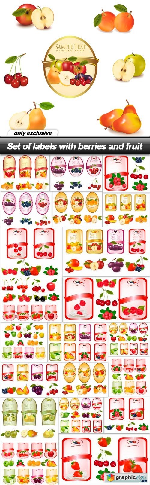 Set of labels with berries and fruit - 22 EPS