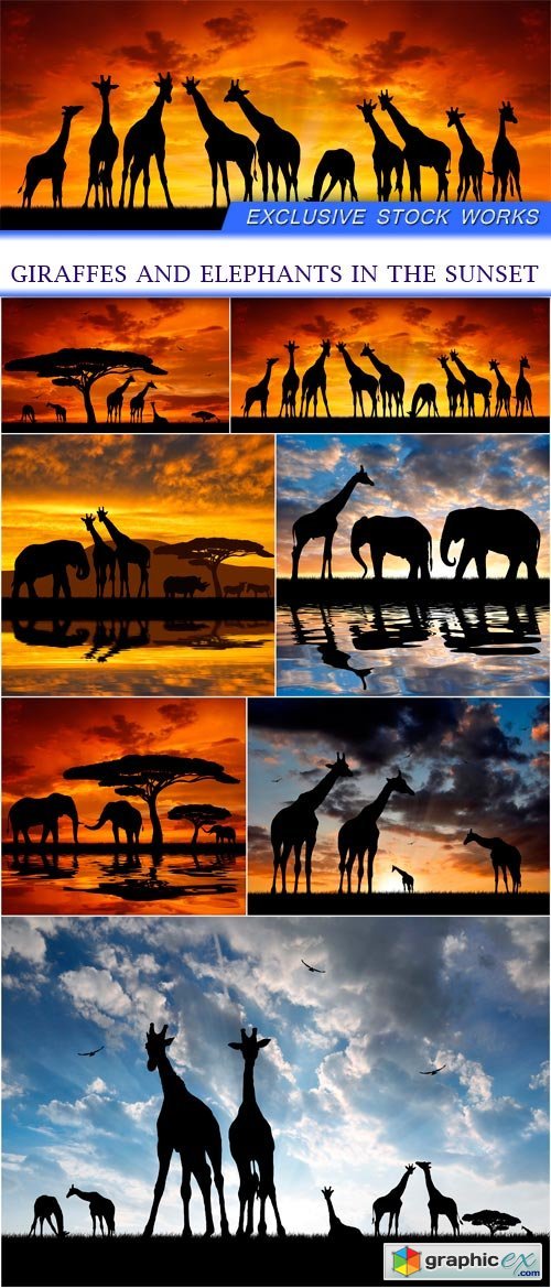 Giraffes and elephants in the sunset 7X JPEG