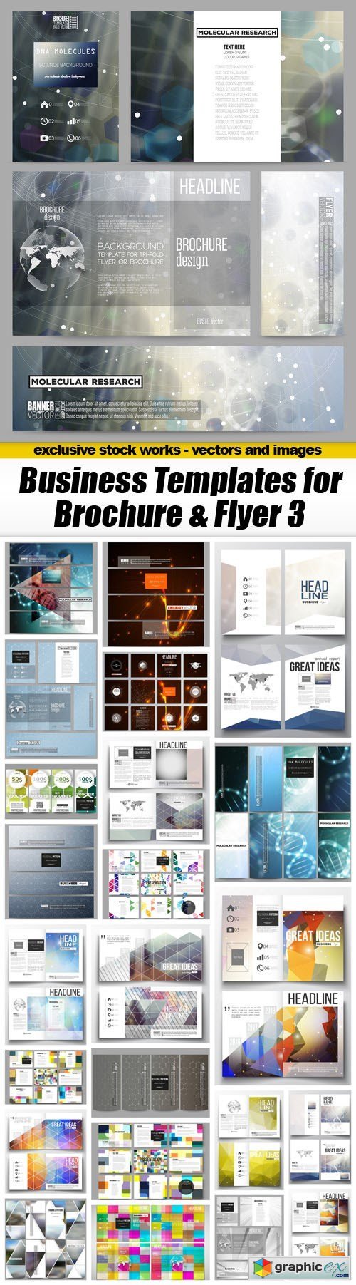 Business Templates for Brochure & Flyer 3 - 25xEPS