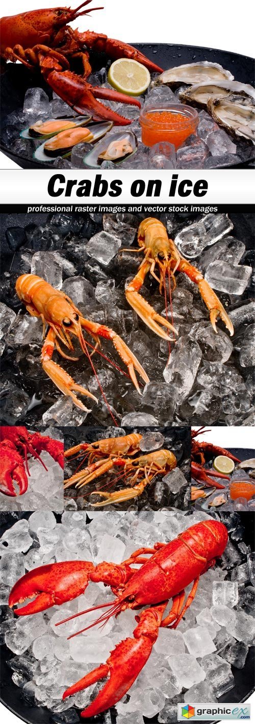 Crabs on ice - 5 UHQ JPEG