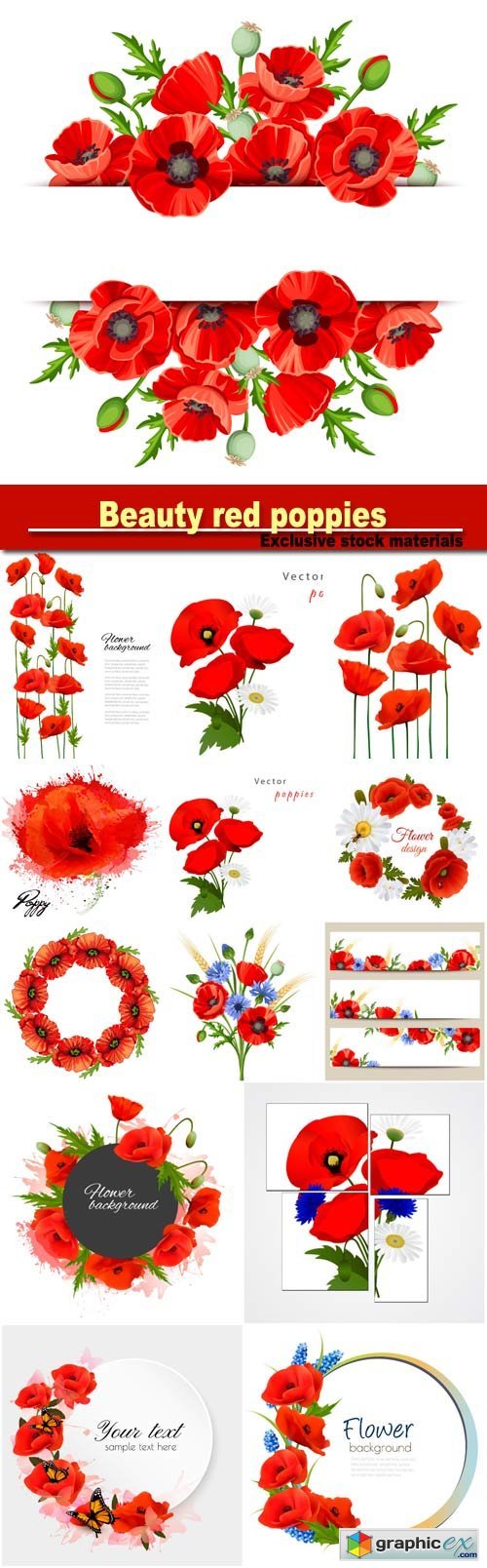 Beautiful background with beauty red poppies, vector floral frame