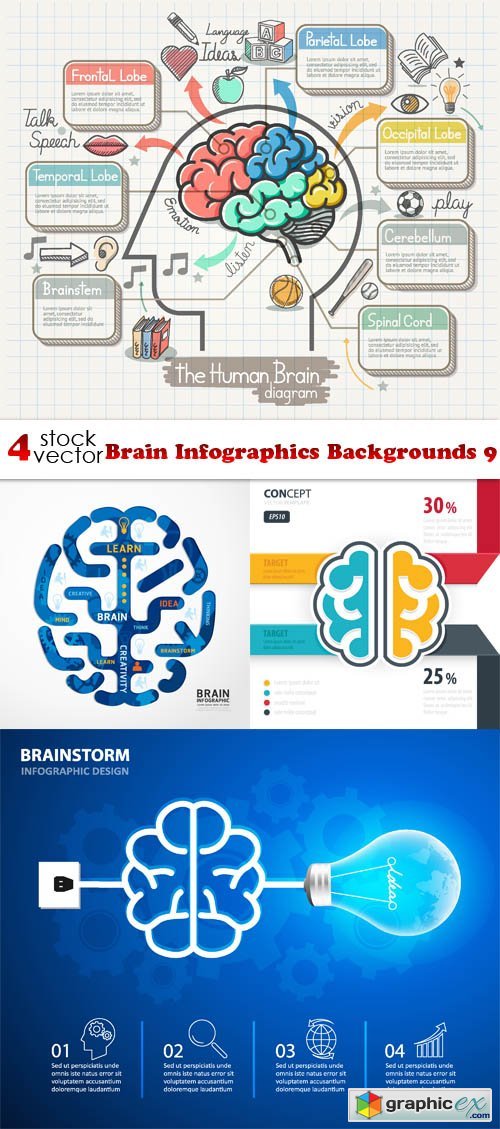 Brain Infographics Backgrounds 9