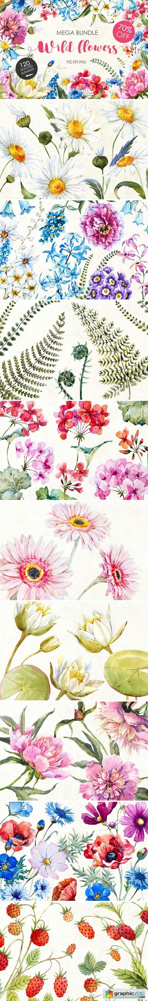 Watercolor bundle &quot;WIld flowers&quot;