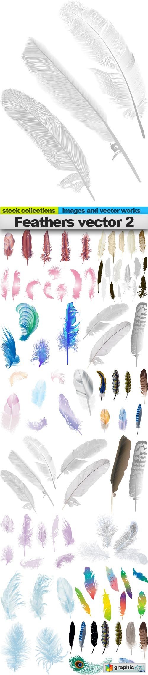 Feathers vector 2, 15 x EPS