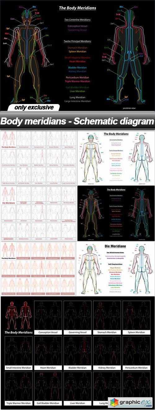 Body meridians - Schematic diagram - 7 EPS