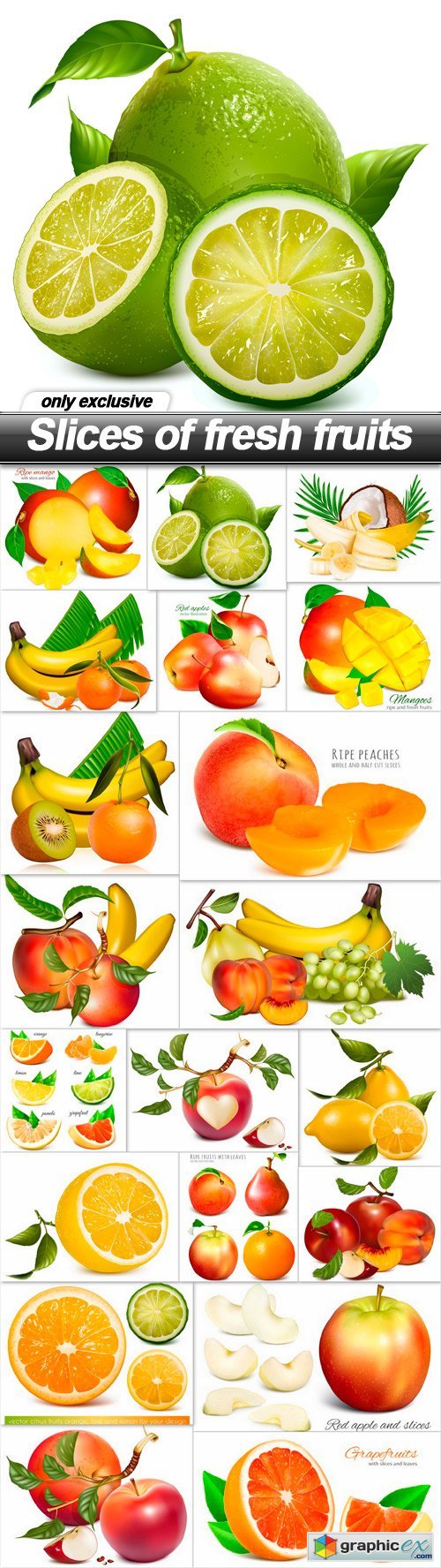 Slices of fresh fruits - 20 EPS