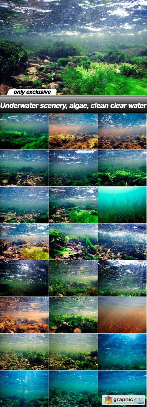 Underwater scenery, algae, clean clear water - 24 UHQ JPEG