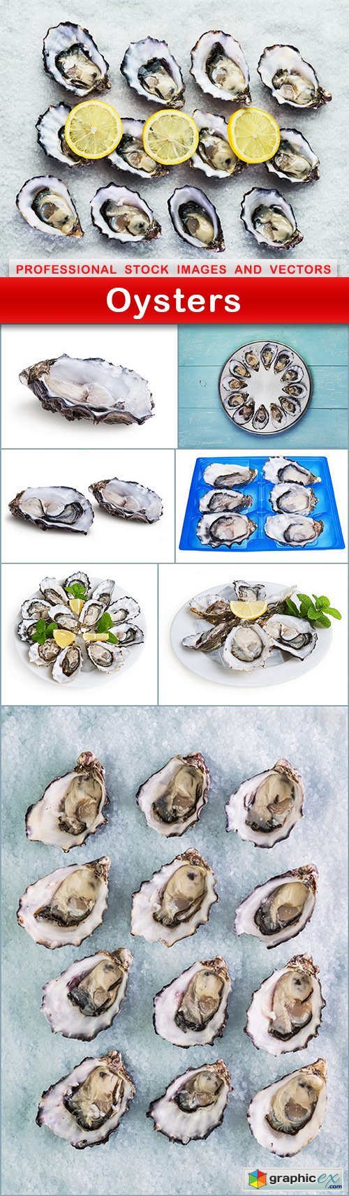Oysters - 8 UHQ JPEG