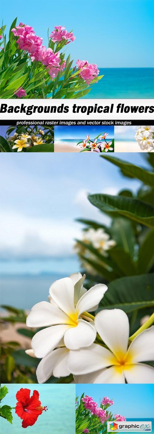 Backgrounds tropical flowers - 6 UHQ JPEG