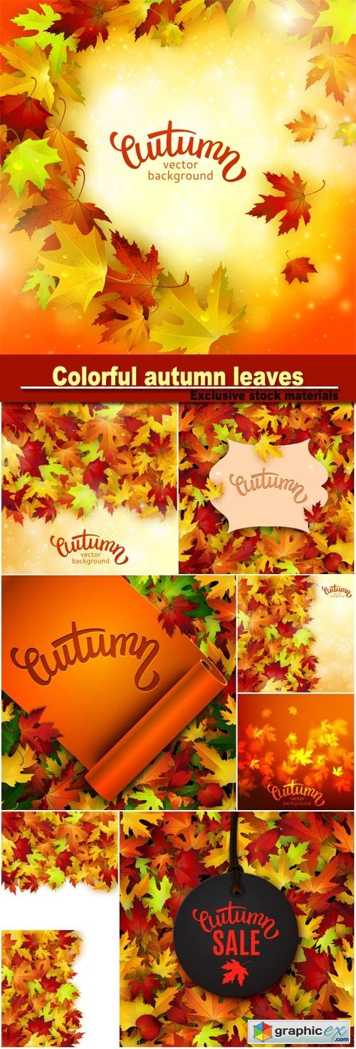 Vector illustration with colorful autumn leaves, card template, natural background