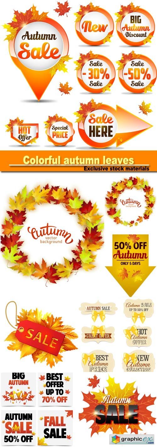 colorful autumn leaves, card template, discount tag with fall leaves