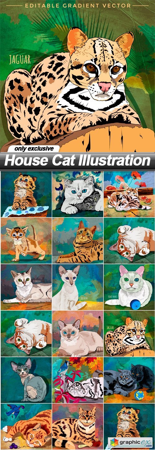 House Cat Illustration - 17 EPS
