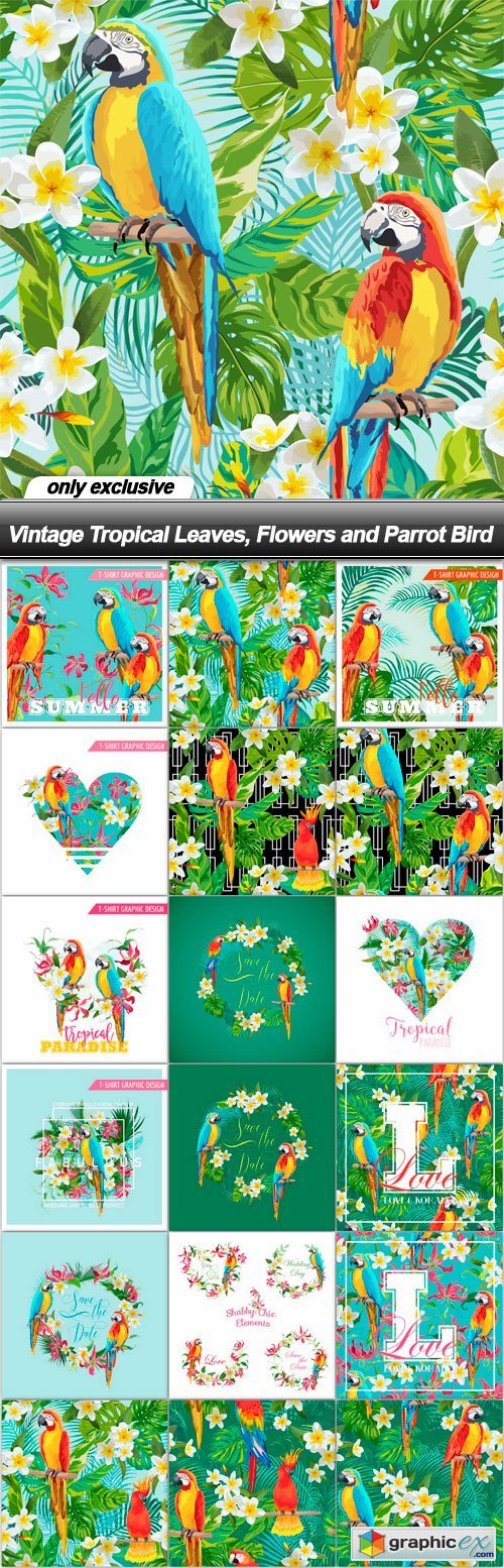 Vintage Tropical Leaves, Flowers and Parrot Bird - 18 EPS
