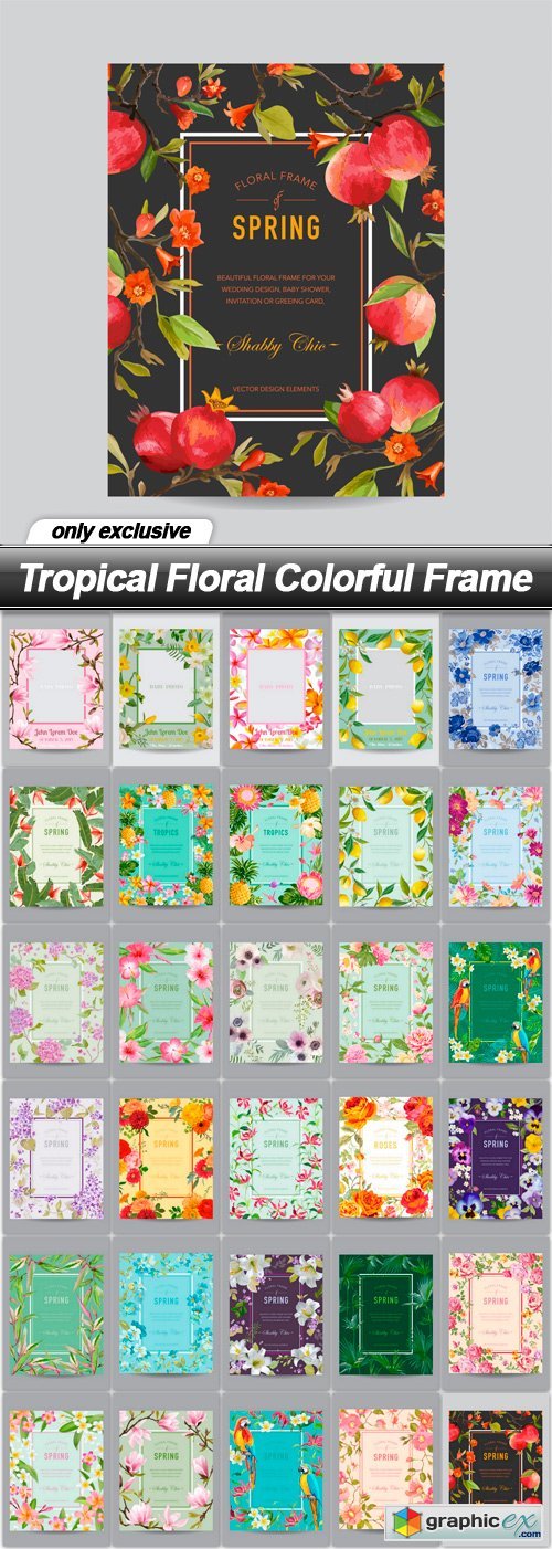 Tropical Floral Colorful Frame - 30 EPS