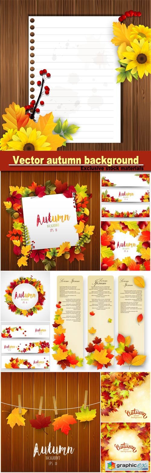 background with colorful autumn leaves, card template, natural background