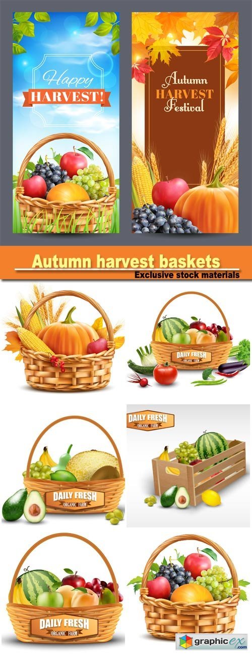 Autumn harvest baskets with vegetables vector