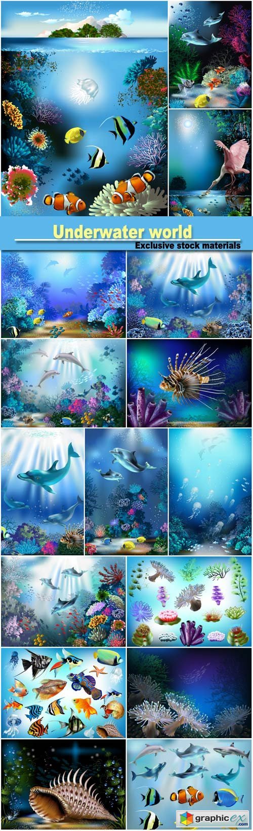 Underwater world, fish and dolphins
