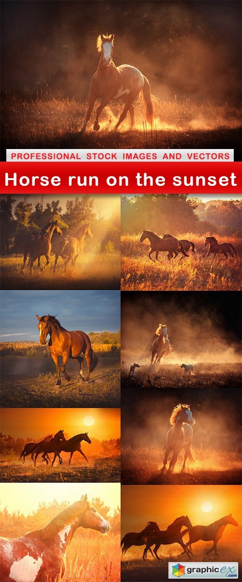 Horse run on the sunset - 9 UHQ JPEG