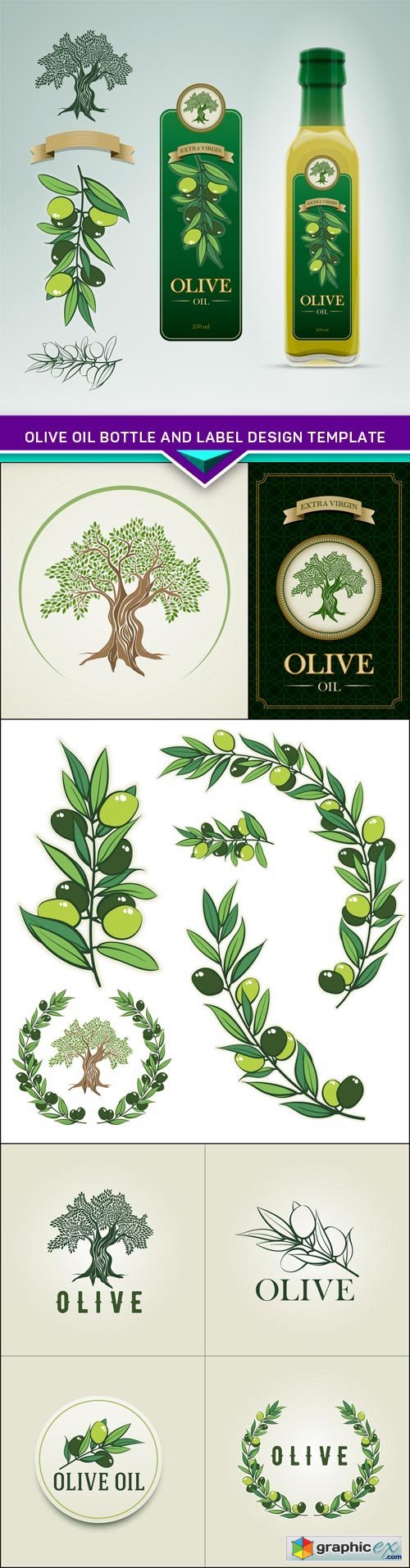 Olive Oil bottle and label design template 5X EPS