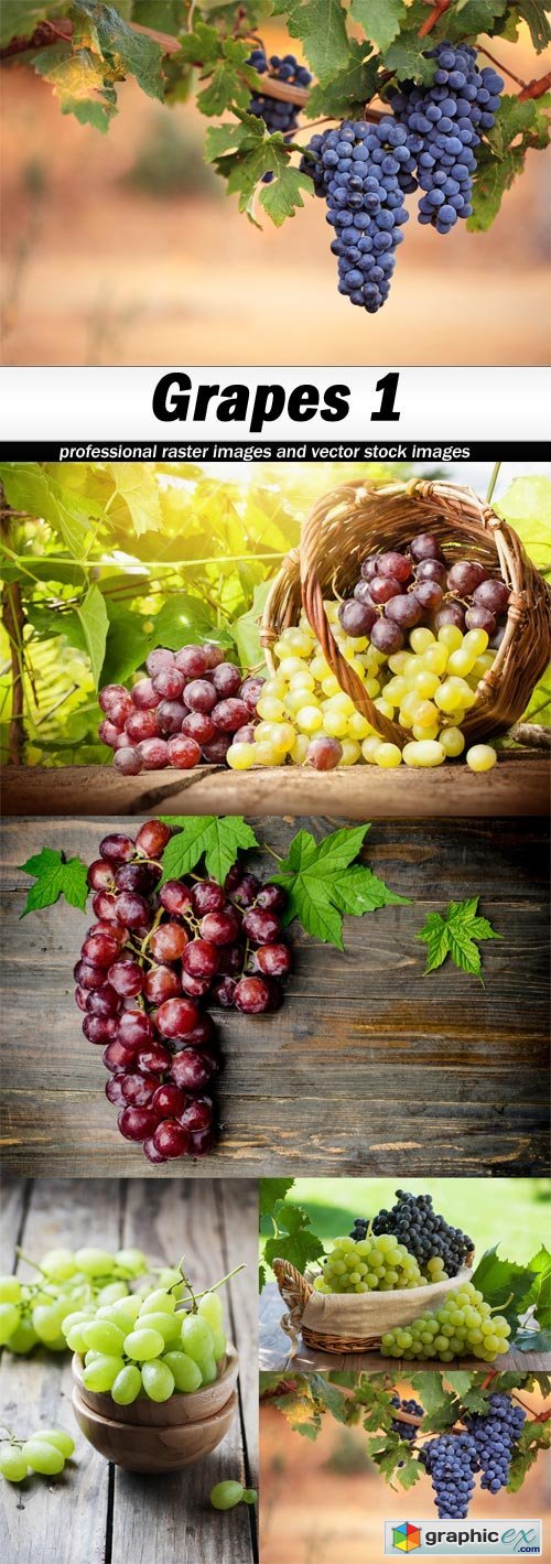 Grapes 1 - 5 UHQ JPEG