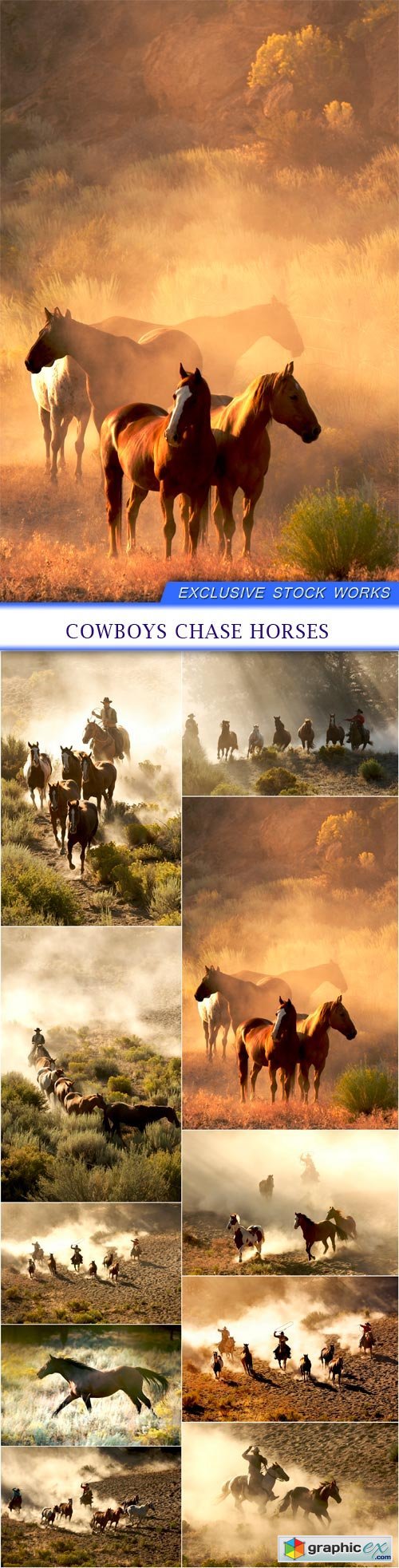 cowboys chase horses 10x JPEG