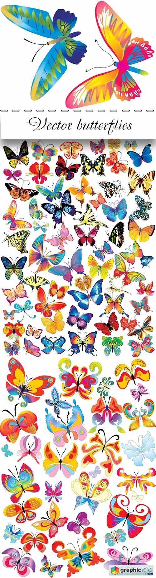 butterflies for design