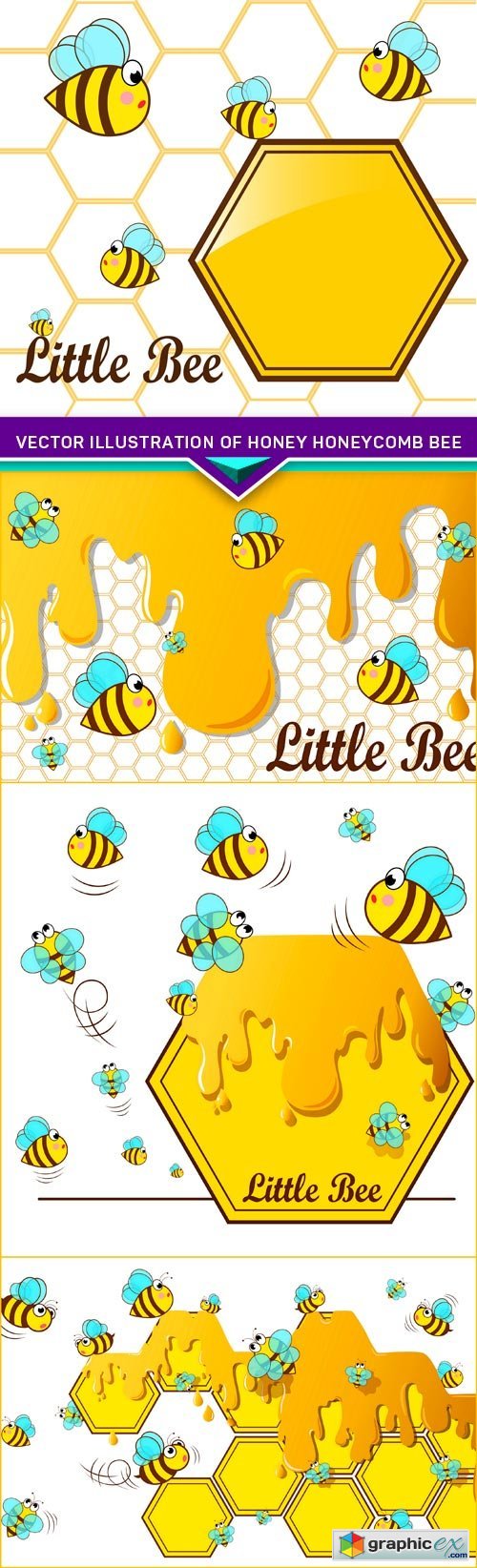 illustration of honey honeycomb Bee 4X EPS