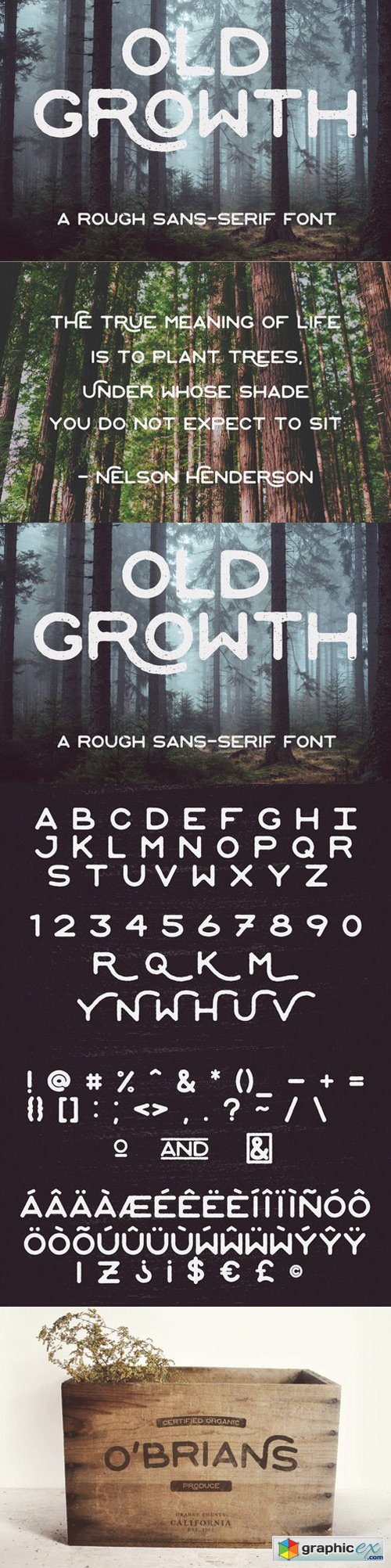 Old Growth font