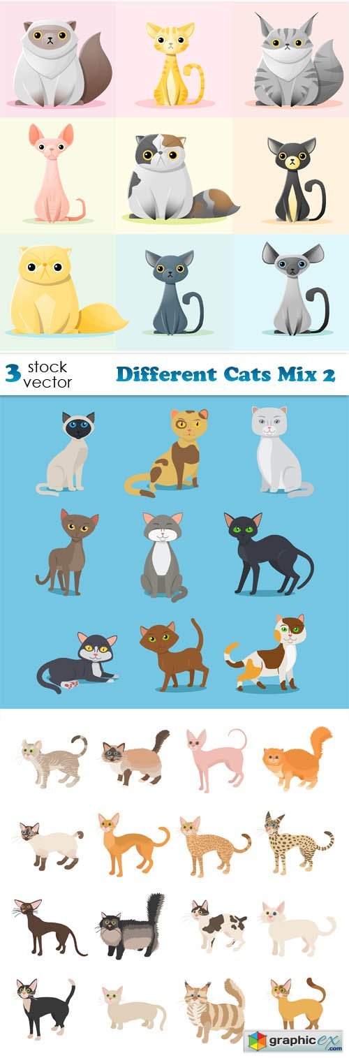 Different Cats Mix 2