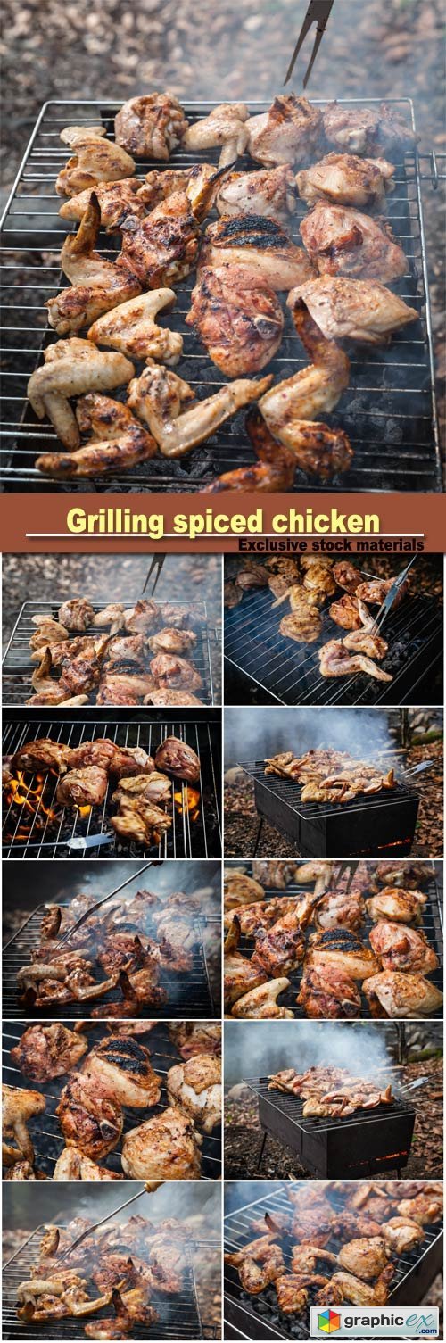 Grilling spiced chicken in grid on charcoal