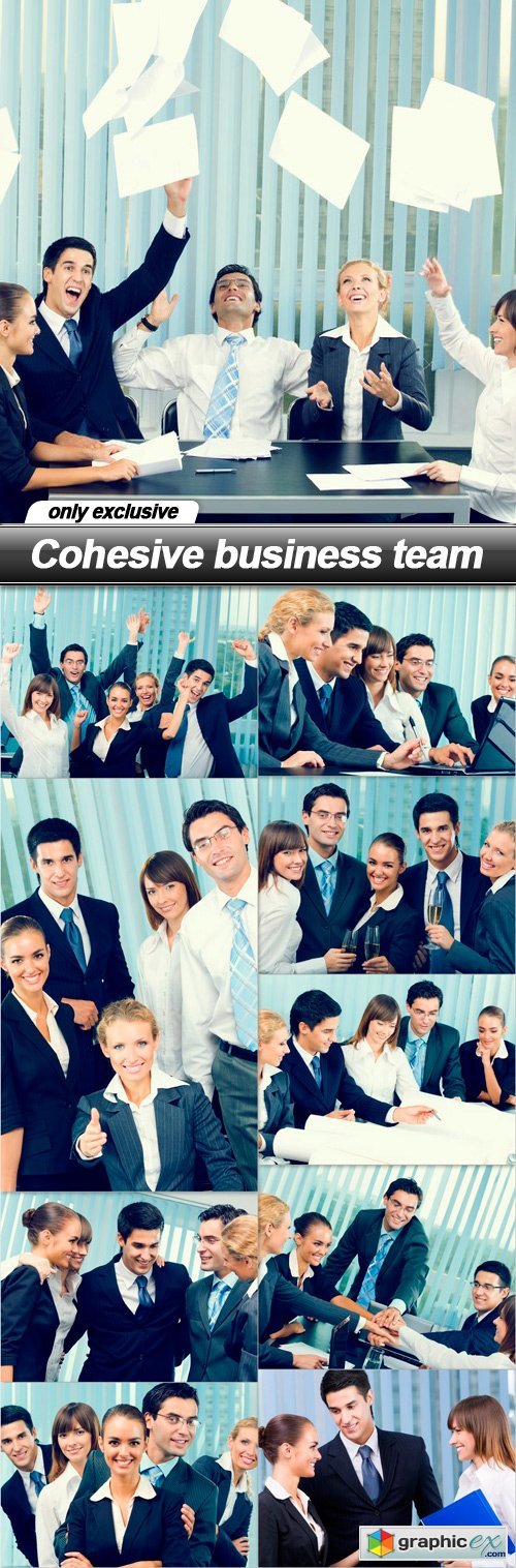 Cohesive business team - 10 UHQ JPEG
