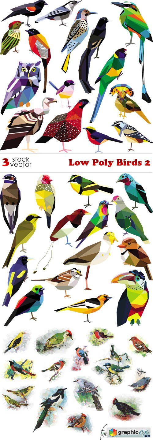 Low Poly Birds 2