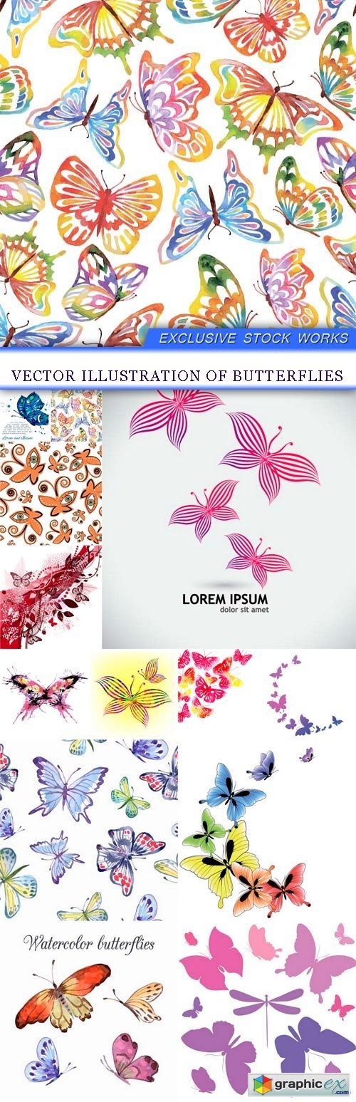 illustration of butterflies 13X EPS
