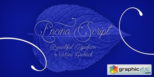Encina Script Font Family - 2 Fonts