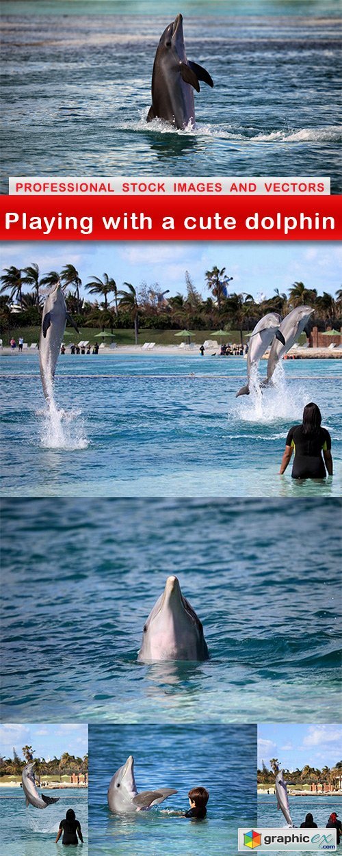 Playing with a cute dolphin - 6 UHQ JPEG