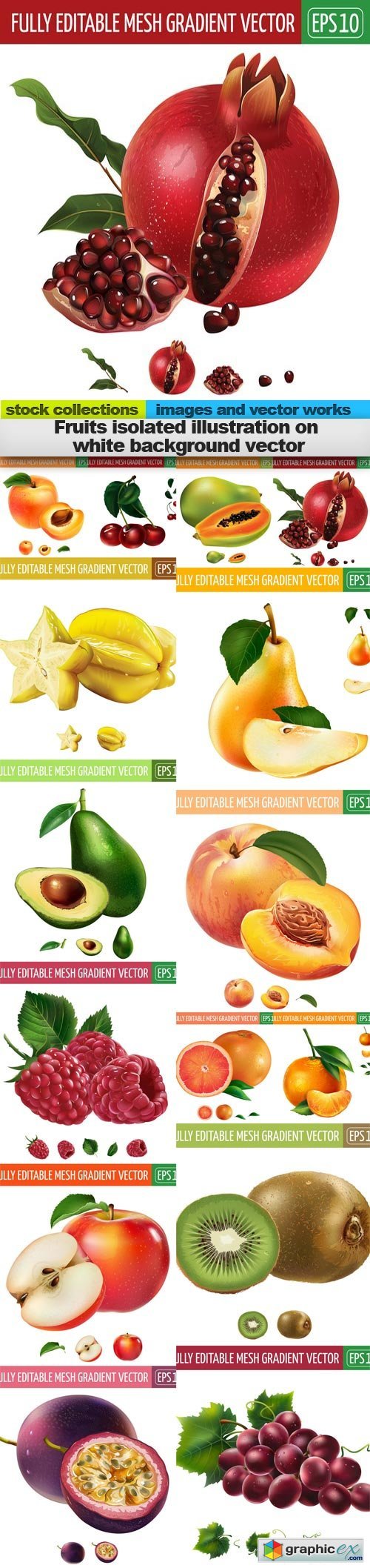 Fruits isolated illustration on white background vector, 15 x EPS