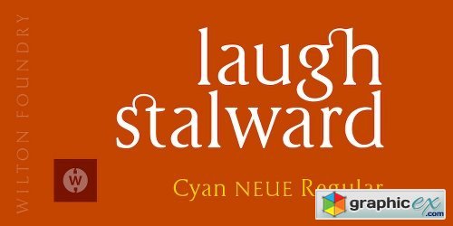 Cyan Neue Font Family - 2 Fonts