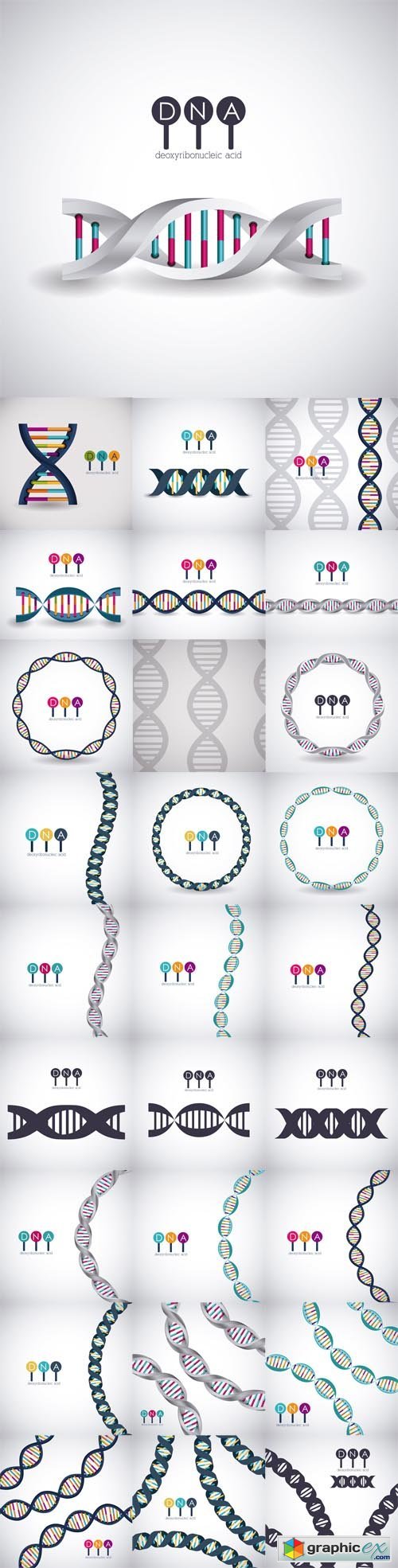 Dna structure chromosome icon. Science molecule genetic and biology theme