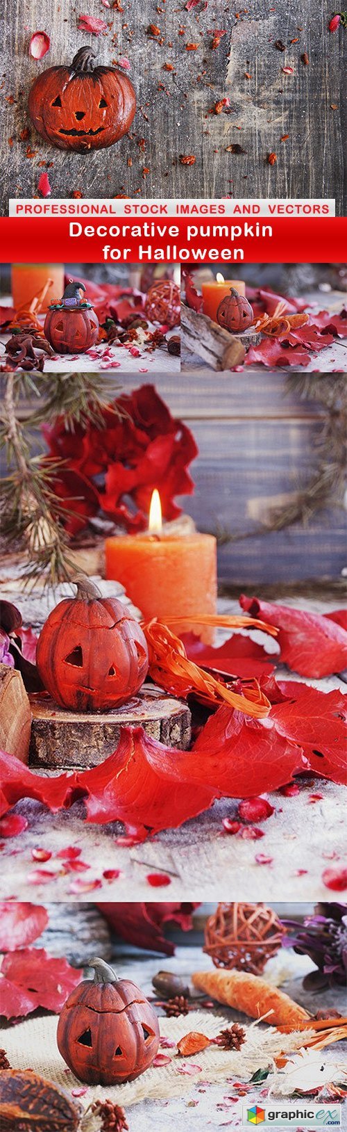 Decorative pumpkin for Halloween - 5 UHQ JPEG