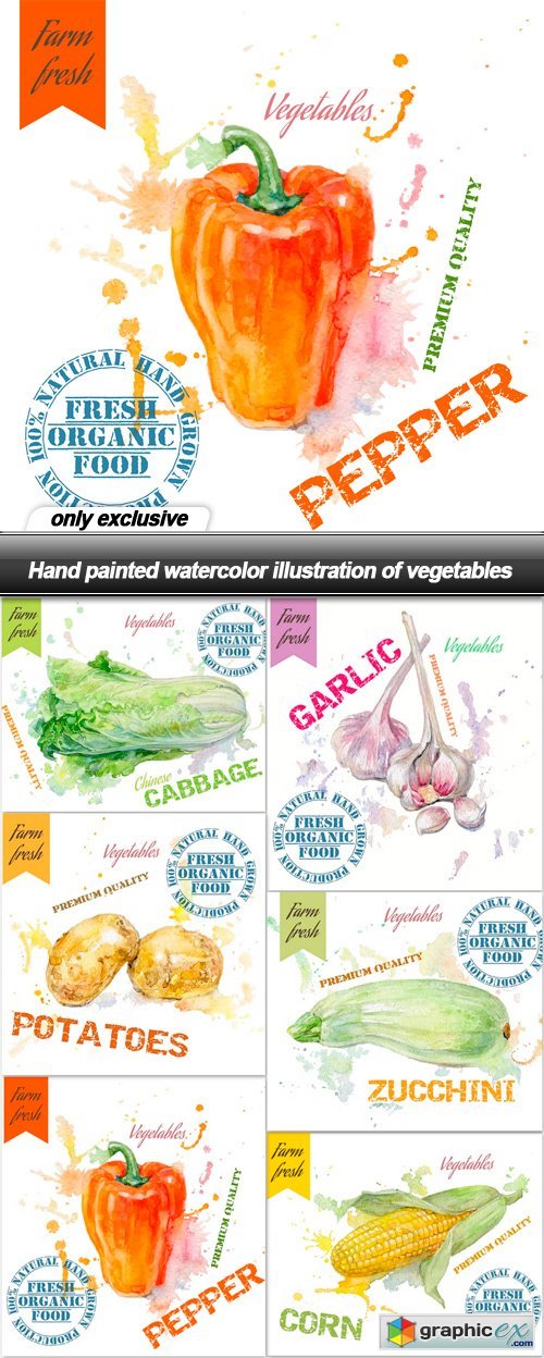 Hand painted watercolor illustration of vegetables - 6 EPS