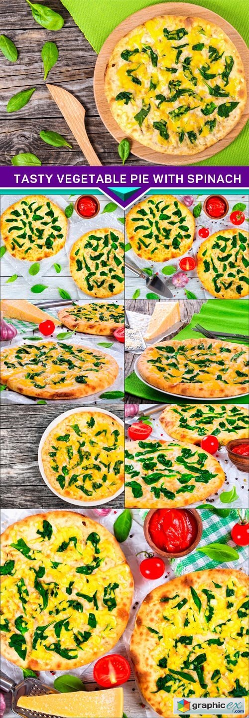 Tasty Vegetable pie with spinach, onion and cheese 8X JPEG