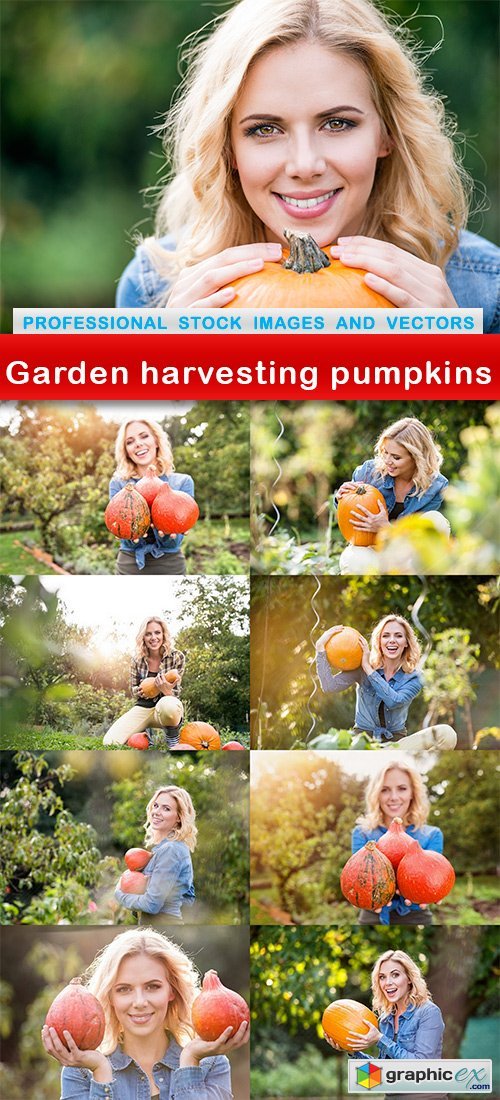 Garden harvesting pumpkins - 9 UHQ JPEG