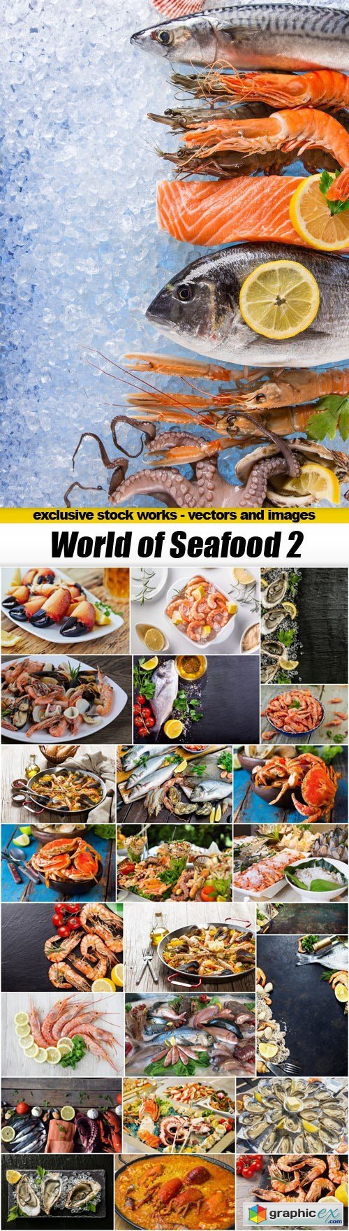 World of Seafood 2 - 25xUHQ JPEG