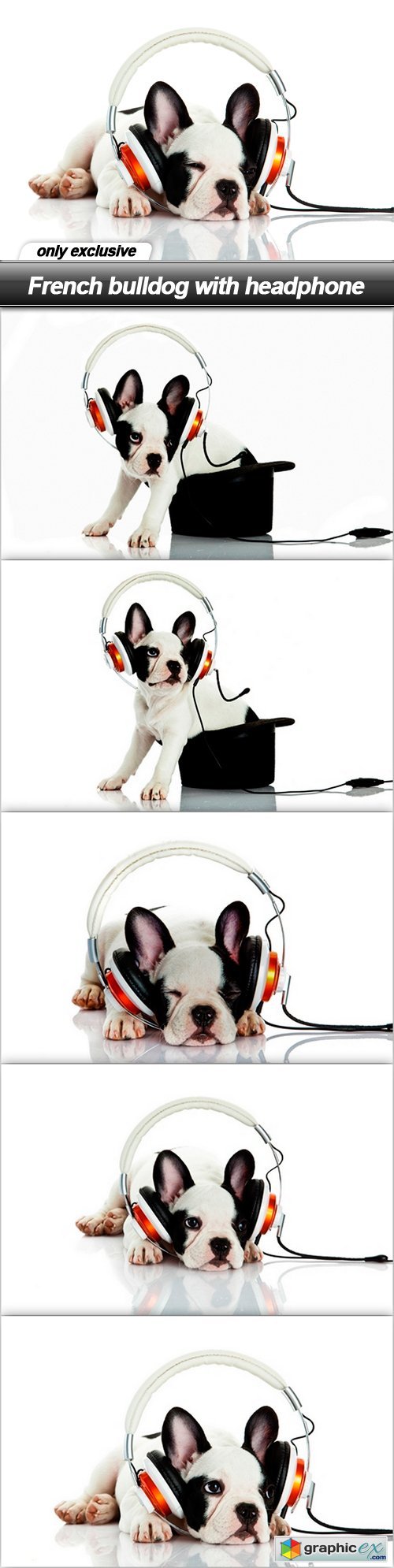 French bulldog with headphone - 6 UHQ JPEG