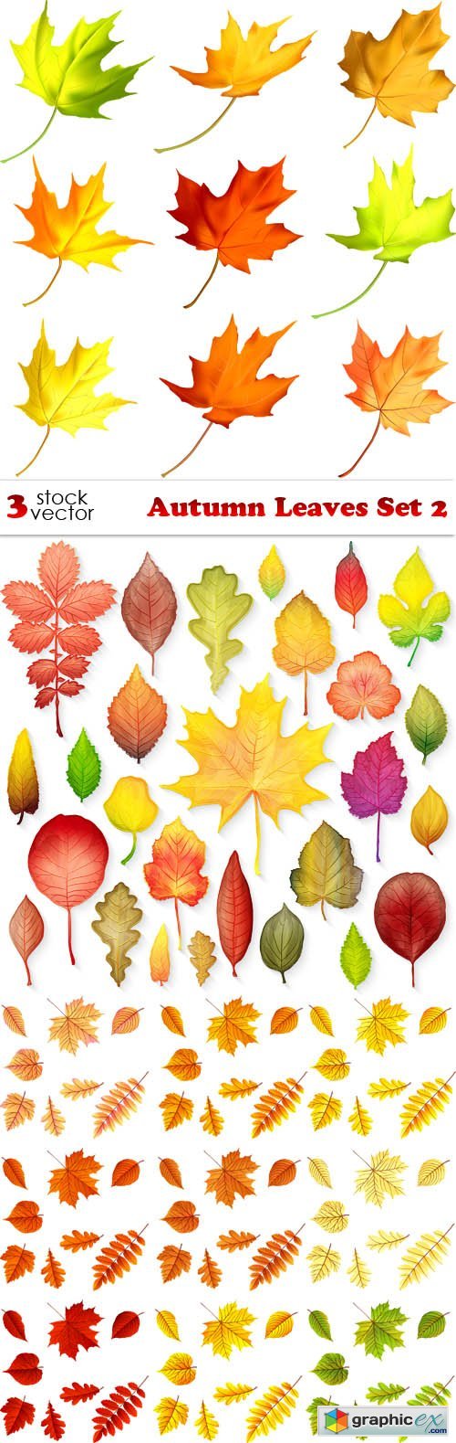 Autumn Leaves Set 2